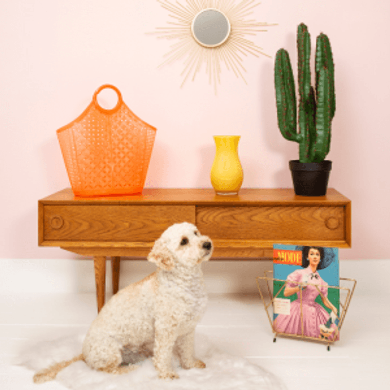 Sunjellies Atomic Tote neonorange