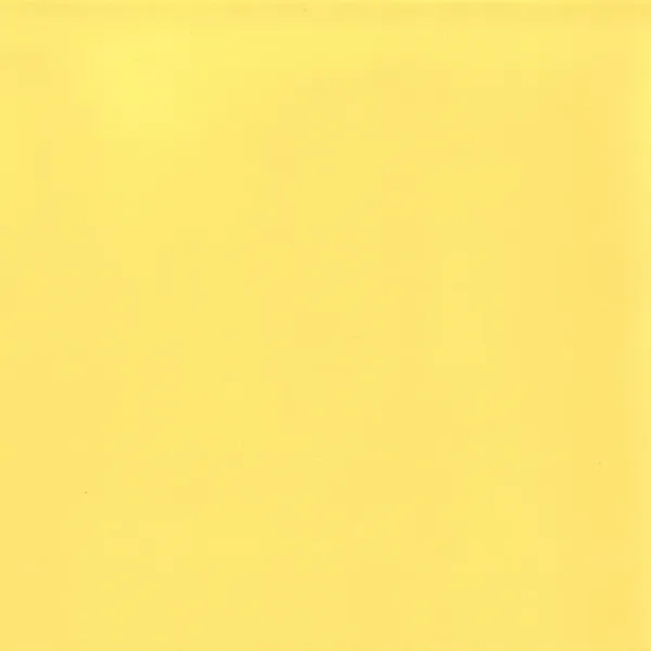 Airline Barkrakk med rygg CB 66 cm Chrome