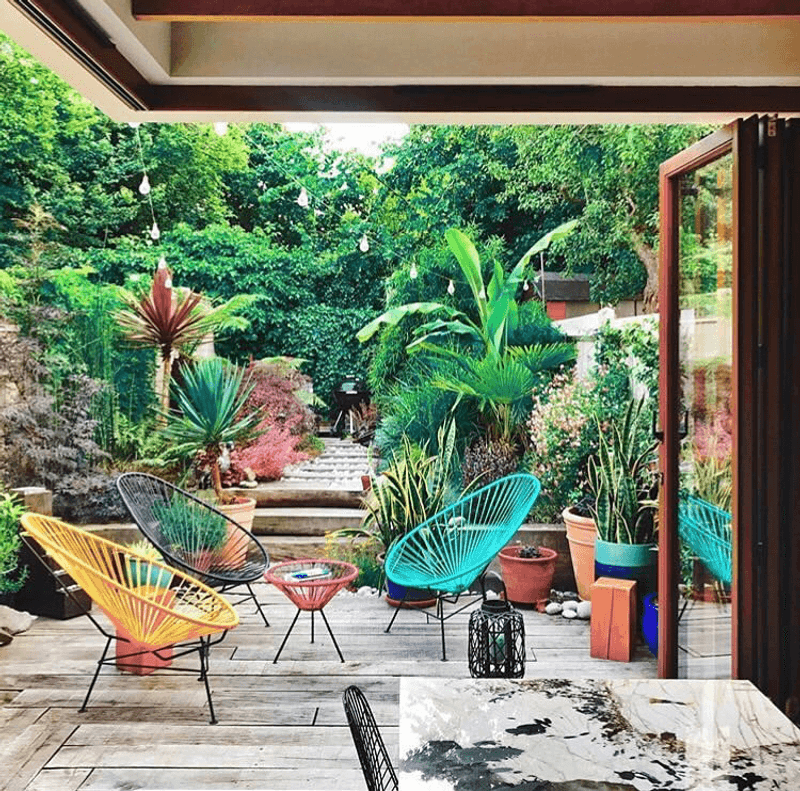 Acapulcostol original kanarigul